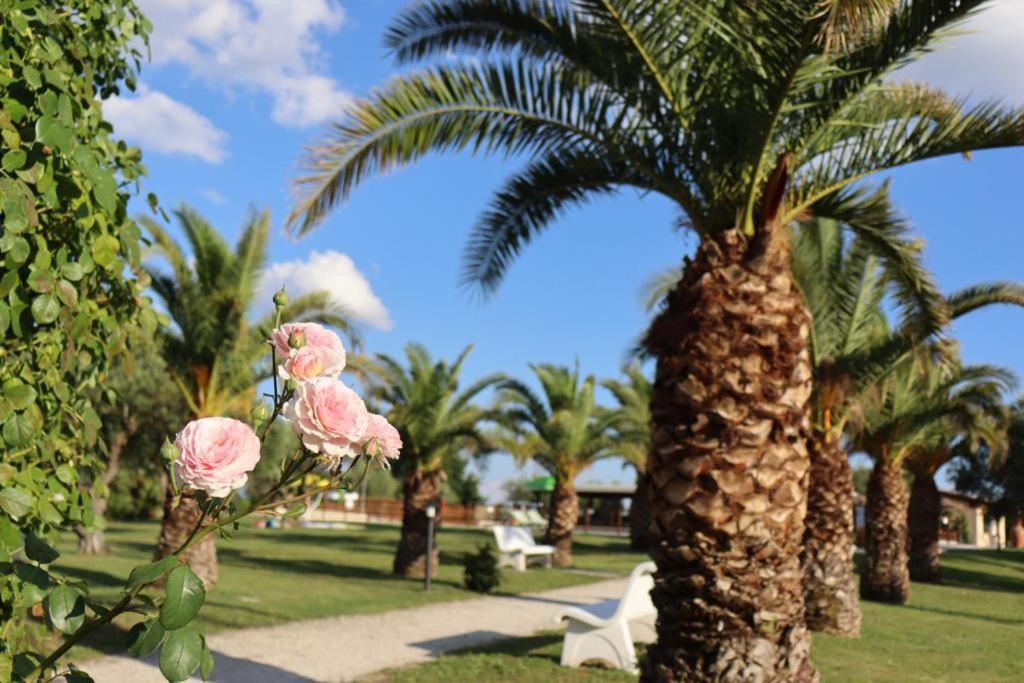 Agriturismo Il Casale Di Monica Rivotorto Exterior foto